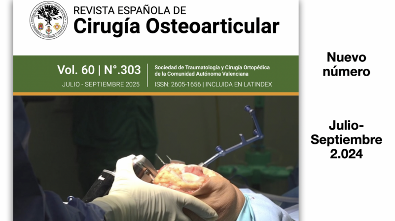 Captura 8